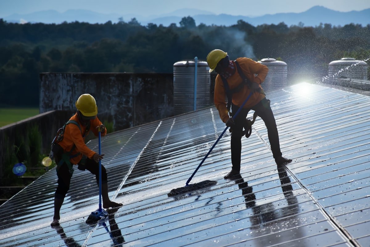 Roof cleaning in Brisbane removing black algae and moss using a safe soft wash method without high pressure.