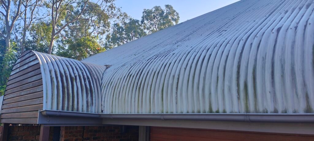 Heavy moss and algae buildup on a curved metal roof in Brisbane before soft washing