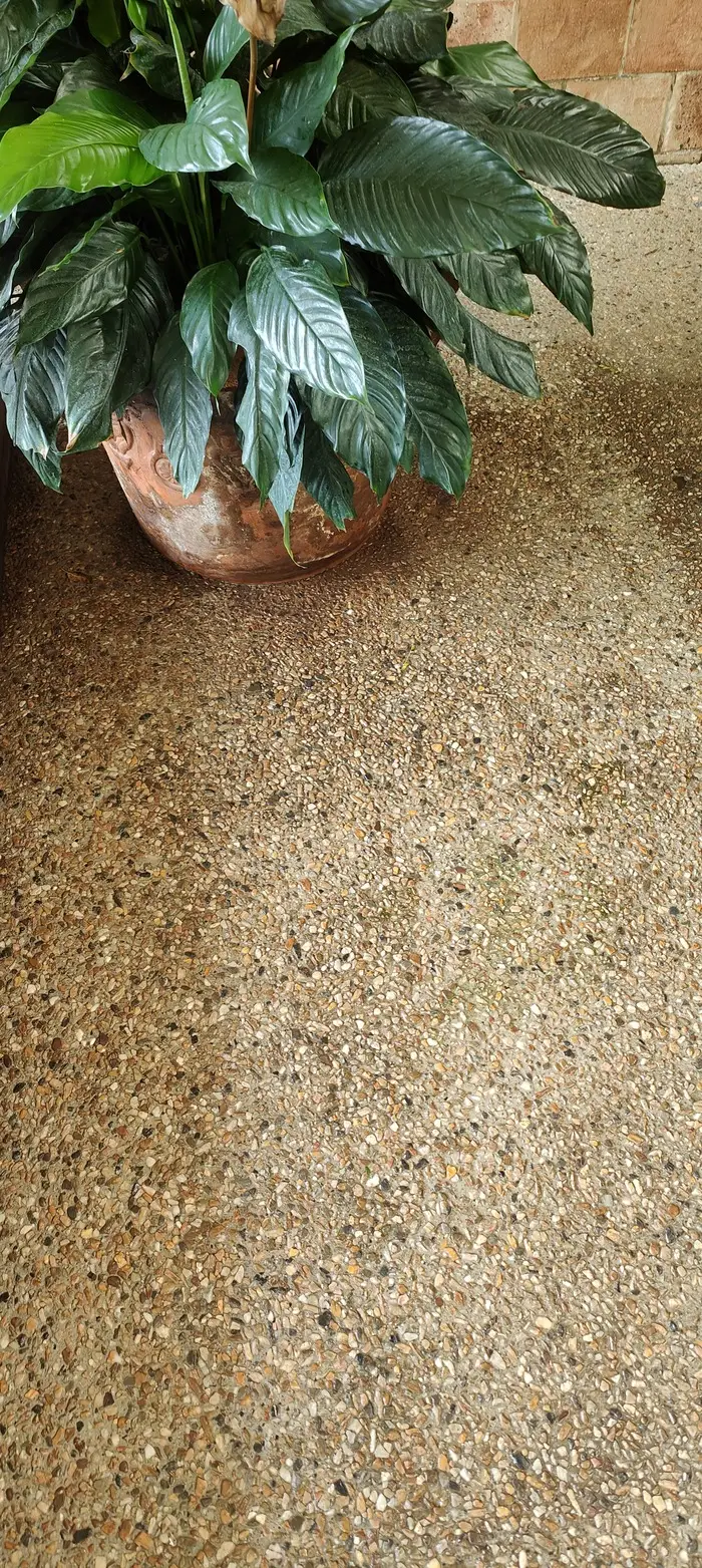 Cleaned exposed aggregate concrete patio after professional concrete cleaning in Brisbane