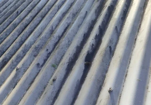 Heavy mould growth on an exterior surface before professional mould removal in Brisbane
