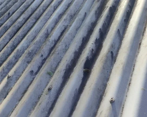 Heavy mould growth on an exterior surface before professional mould removal in Brisbane