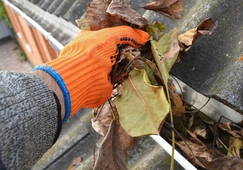 Technician performing gutter cleaning in Brisbane using gloves to clear roof debris